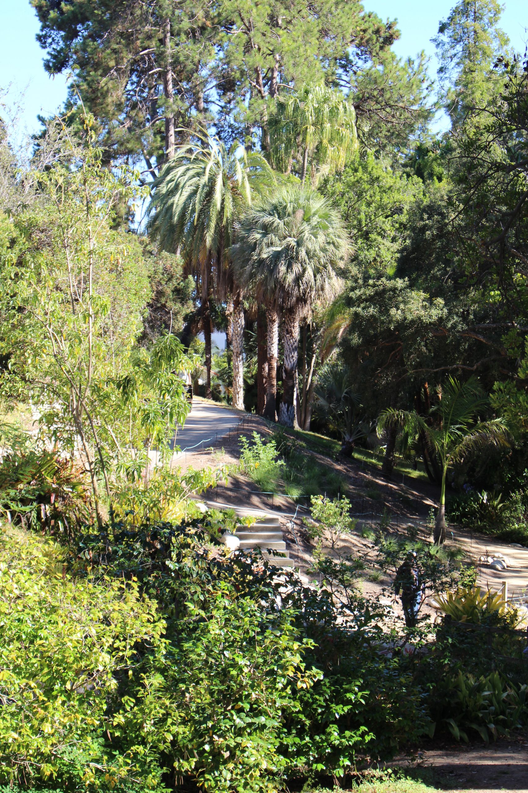 5 Best Activities to do in Westwood Los Angeles Traveler