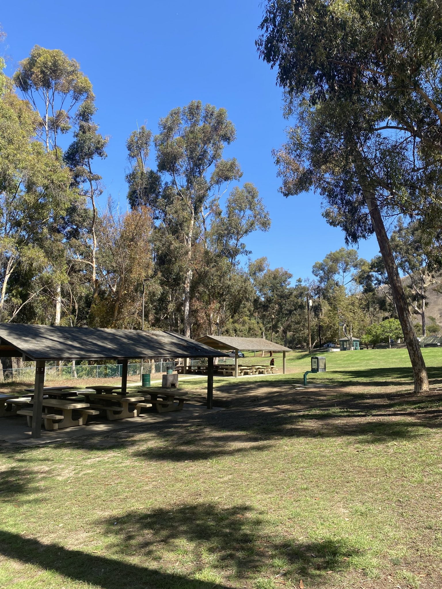 Best Activities to Do Near SoFi Stadium Los Angeles Traveler