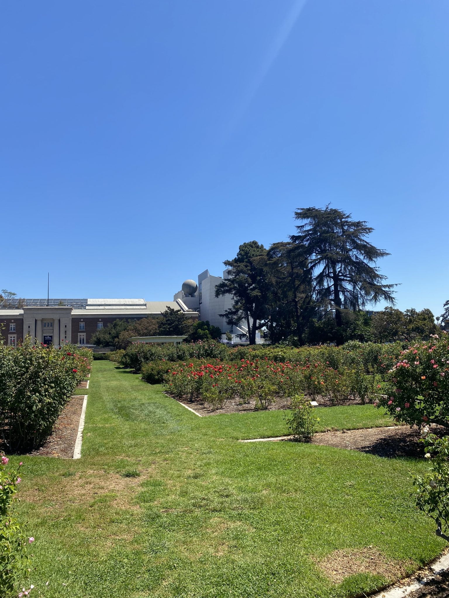 Best Activities to Do Near SoFi Stadium Los Angeles Traveler