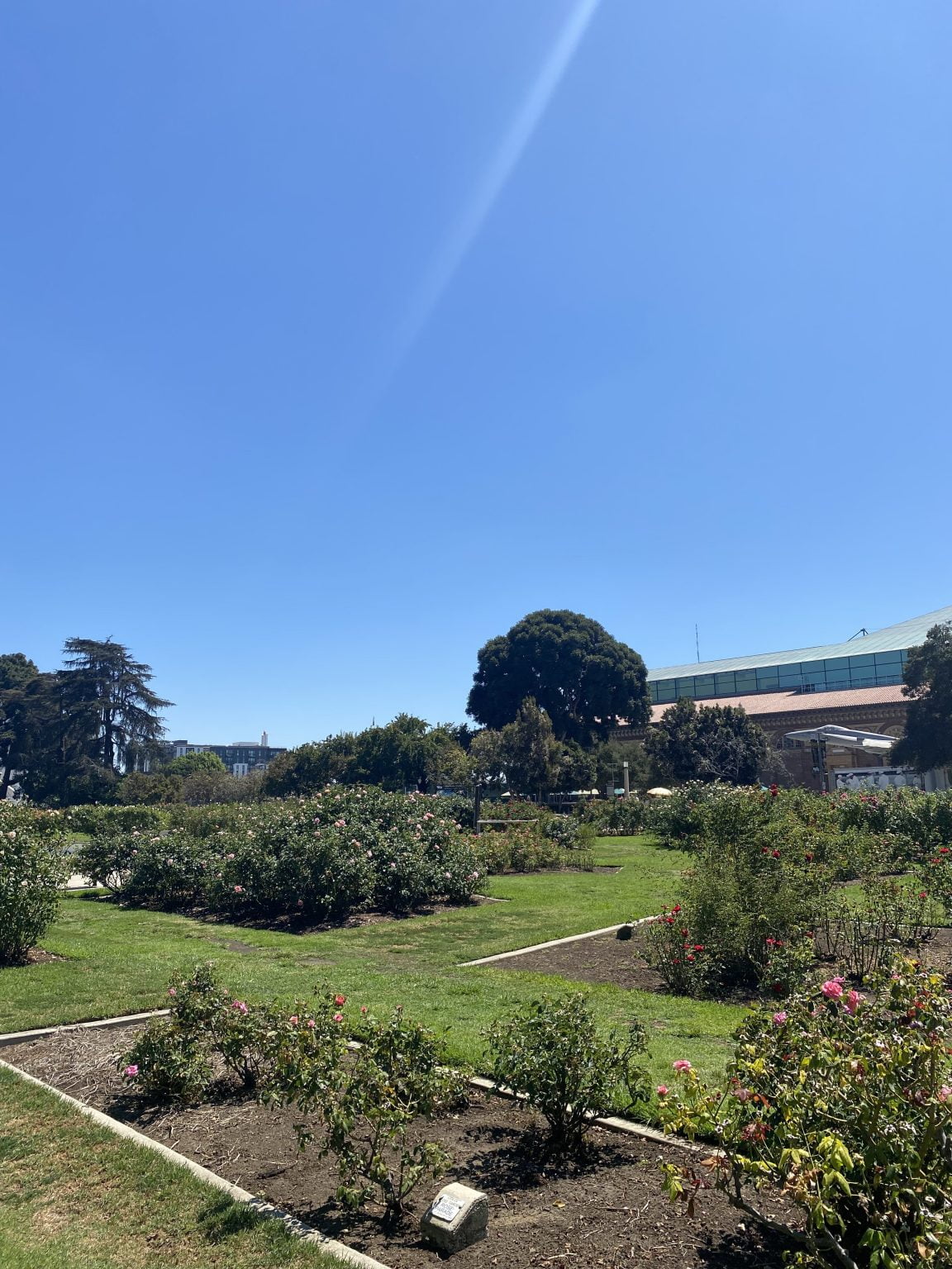 Best Activities to Do Near SoFi Stadium Los Angeles Traveler